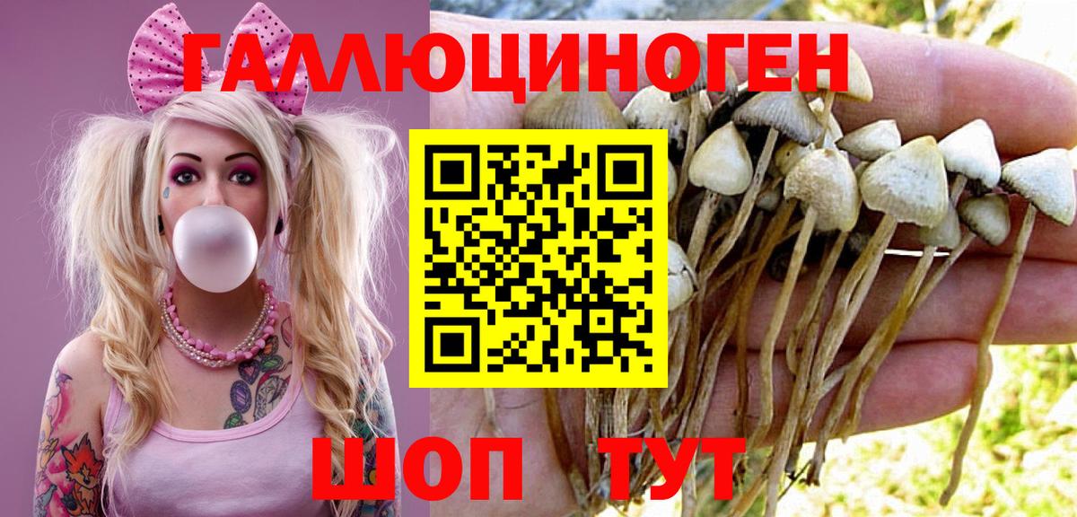 Ачхой-Мартан  Псилоцибиновые грибы GOLDEN TEACHER  Вход с VPN 